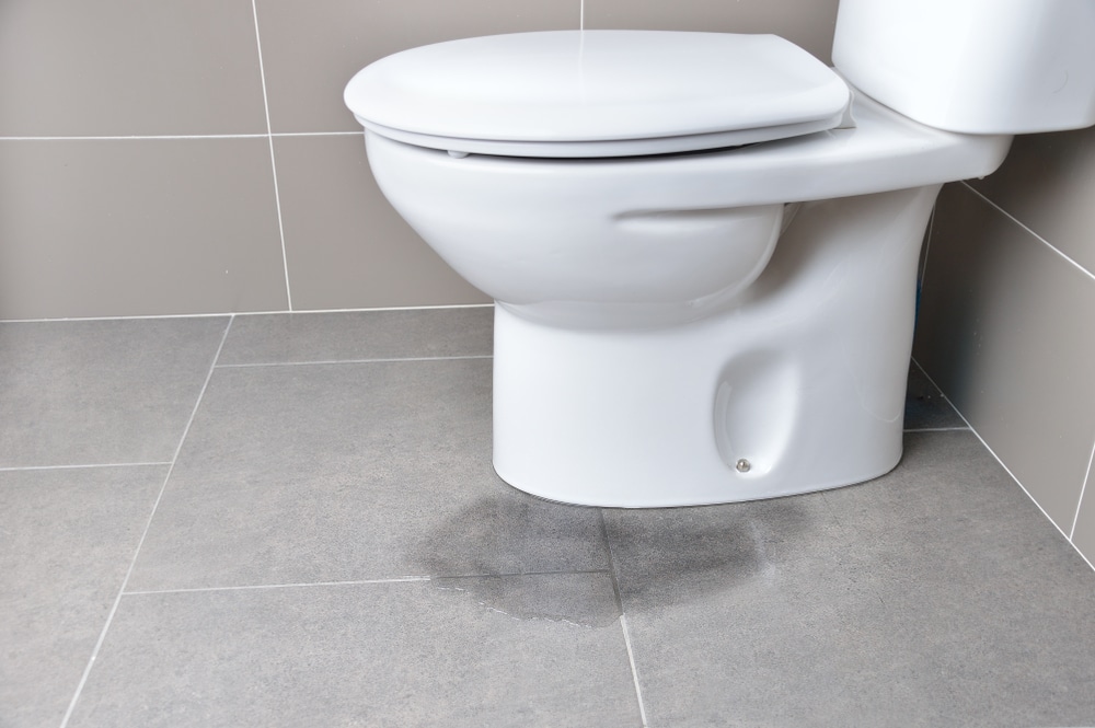 Toilet Leak: Signs, Fixes, and Prevention